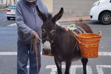  Original celebración del Día de Canarias en El Ejido de Telde/TA.